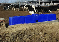 Termo depressione automatica dell'acqua di LLDPE per il bestiame/maiale 6M 40L libero antigelo - 80L